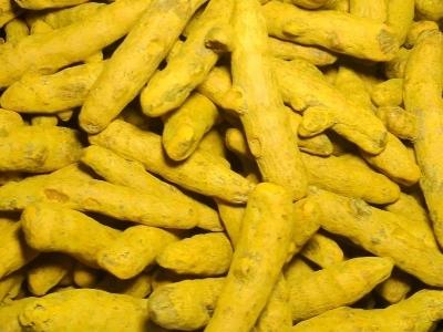 Turmeric-Finger-Manufacturers-Suppliers-Exporters-Importers